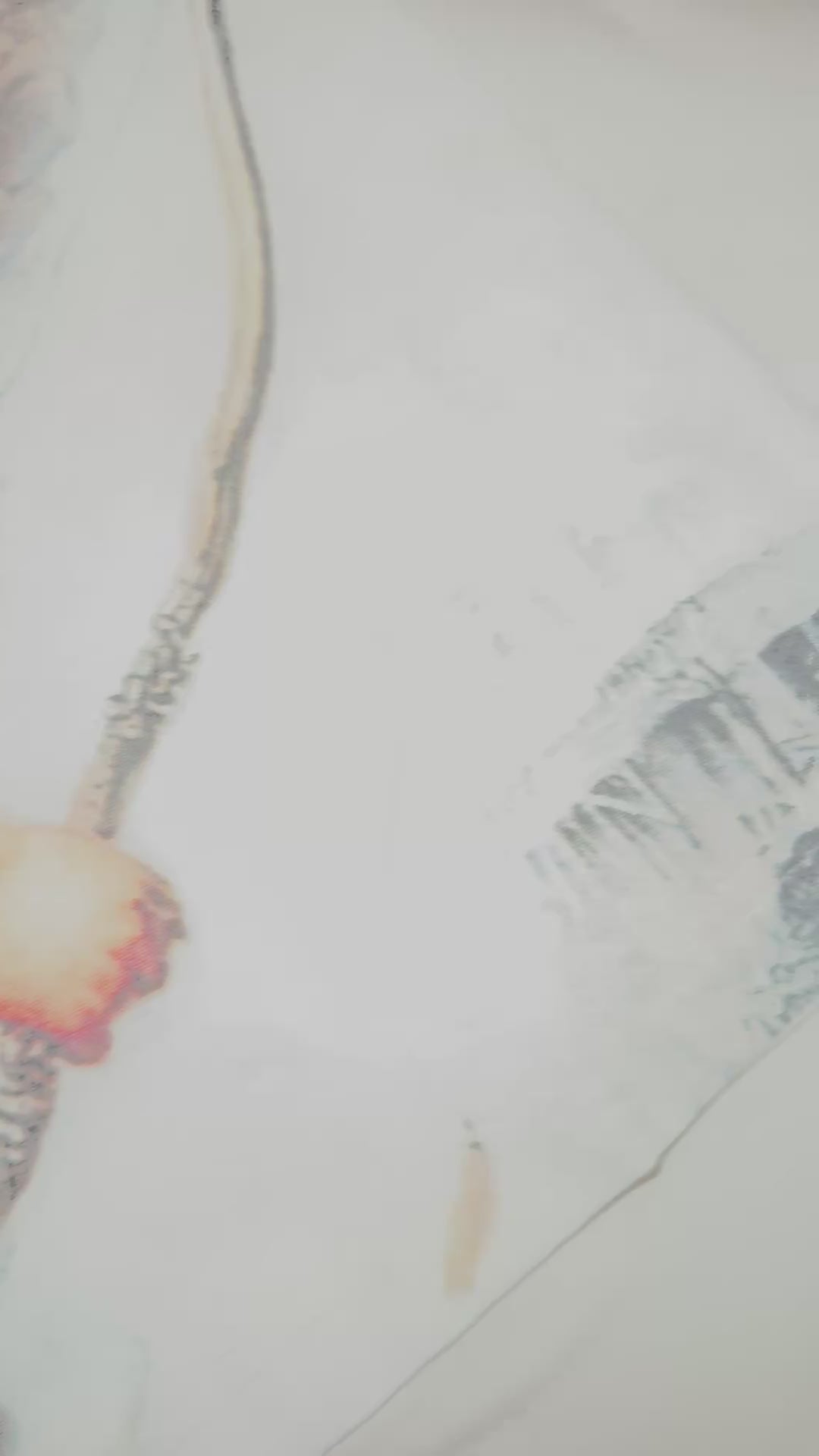 RHINESTONE ARCH ANGEL TEE WHITE